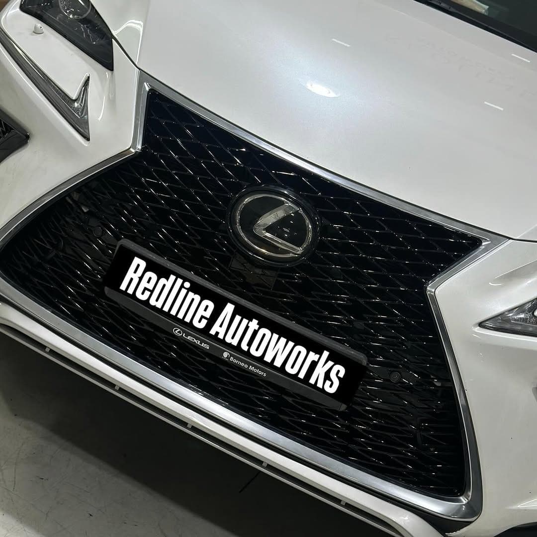 Lexus grille